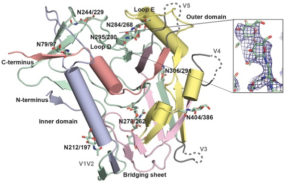 Envelope glycoprotein, HIV2 (Env)