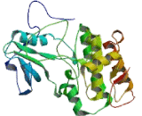 Ephrin Type A Receptor 3 (EPHA3)