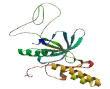 Ephrin Type A Receptor 6 (EPHA6)