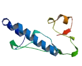 Ephrin Type A Receptor 9 (EPHA9)