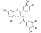 Epicatechin Gallate (ECG)