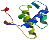 Epidermal Growth Factor Receptor Pathway Substrate 15 (EPS15)