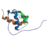 Epidermal Growth Factor Receptor Pathway Substrate 8 (EPS8)