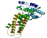 Pleckstrin Homology Domain Containing Family S, Member 1 (PLEKHS1)