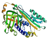 Serpin Peptidase Inhibitor Clade B Member 11 (SERPINB11)