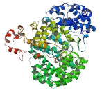 Epithelial Cell Transforming Sequence 2 Like Protein (ECT2L)