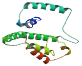 Epithelial Membrane Protein 1 (EMP1)