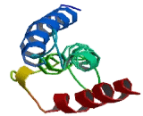 Epithelial Membrane Protein 3 (EMP3)