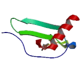 Epithelial Neutrophil Activating Peptide 78 (ENA78)