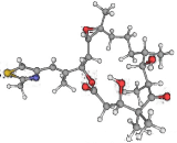 Epothilone B (EpoB)