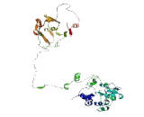 Equilibrative Nucleoside Transporter 1 (ENT1)