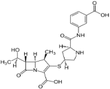 Ertapenem (ETP)