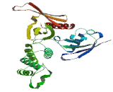 Erythrocyte Membrane Protein Band 4.1 Like Protein 3 (EPB41L3)