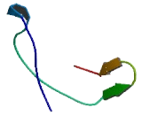 Esophageal Cancer Related Gene 4 (ECRG4)