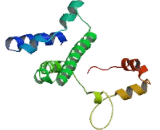 Establishment Of Cohesion 1 Homolog 1 (ESCO1)