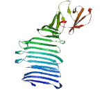 Establishment Of Cohesion 1 Homolog 2 (ESCO2)