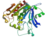 Esterase D (ESD)