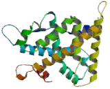 Estrogen Related Receptor Alpha (ERRa)