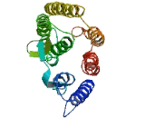 Ethanolamine Phosphotransferase 1 (EPT1)