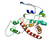 Ethanolamine Kinase 1 (ETNK1)