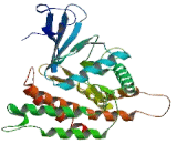 Ethanolamine Kinase 2 (ETNK2)