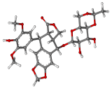 Etoposide (ETP)