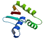 Ets Variant 3 Like Protein (ETV3L)