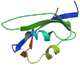 Eukaryotic Translation Elongation Factor 1 Delta (EEF1d)