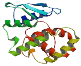 Eukaryotic Translation Elongation Factor 1 Epsilon 1 (EEF1e1)