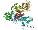 Eukaryotic Translation Elongation Factor 2 (EEF2)