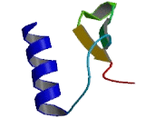 Eukaryotic Translation Initiation Factor 2 Alpha Kinase 1 (EIF2aK1)