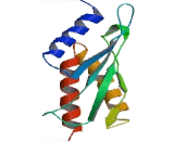 Eukaryotic Translation Initiation Factor 2 Alpha Kinase 4 (EIF2aK4)