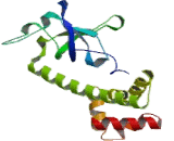 Eukaryotic Translation Initiation Factor 2 Subunit 1 (EIF2S1)