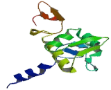 Eukaryotic Translation Initiation Factor 2 Subunit 2 (EIF2S2)