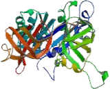 Eukaryotic Translation Initiation Factor 2 Subunit 3 (EIF2S3)