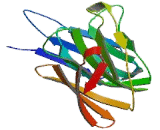 Eukaryotic Translation Initiation Factor 2A (EIF2A)