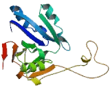 Eukaryotic Translation Initiation Factor 2B1 (EIF2B1)