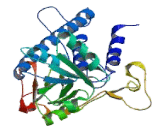 Eukaryotic Translation Initiation Factor 2B2 (EIF2B2)