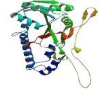 Eukaryotic Translation Initiation Factor 2B4 (EIF2B4)