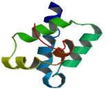 Eukaryotic Translation Initiation Factor 2B5 (EIF2B5)