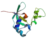 Eukaryotic Translation Initiation Factor 2C1 (EIF2C1)