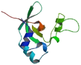 Eukaryotic Translation Initiation Factor 2C4 (EIF2C4)