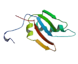 Eukaryotic Translation Initiation Factor 3B (EIF3B)