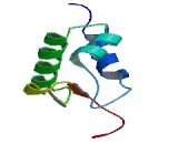 Eukaryotic Translation Initiation Factor 3C (EIF3C)