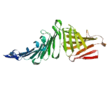 Eukaryotic Translation Initiation Factor 3C Like Protein (EIF3CL)