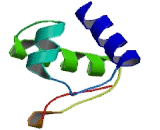 Eukaryotic Translation Initiation Factor 3E (EIF3E)