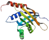 Eukaryotic Translation Initiation Factor 3F (EIF3F)