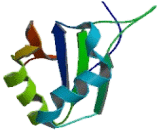 Eukaryotic Translation Initiation Factor 3G (EIF3G)