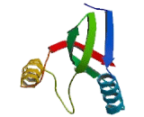 Eukaryotic Translation Initiation Factor 3H (EIF3H)