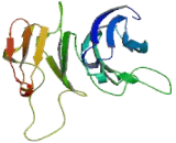 Eukaryotic Translation Initiation Factor 3I (EIF3I)